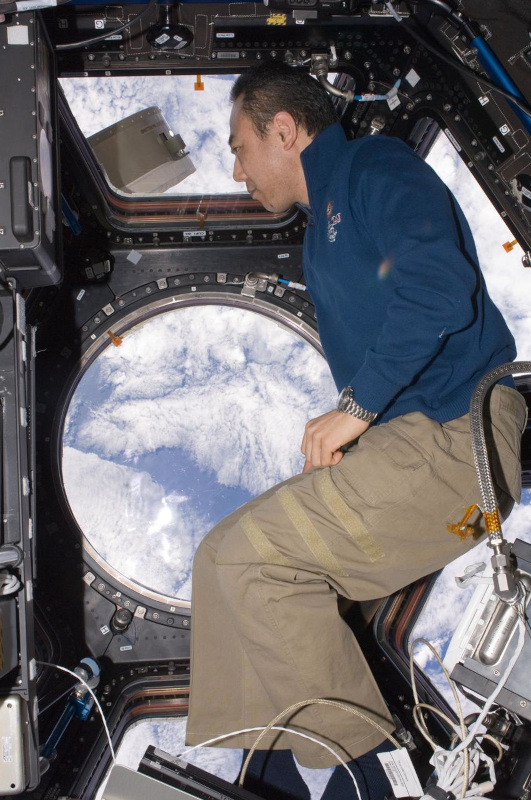 Japanese astronaut Furukawa takes time to view the Earth from orbit while floating in the cupola aboard the ISS